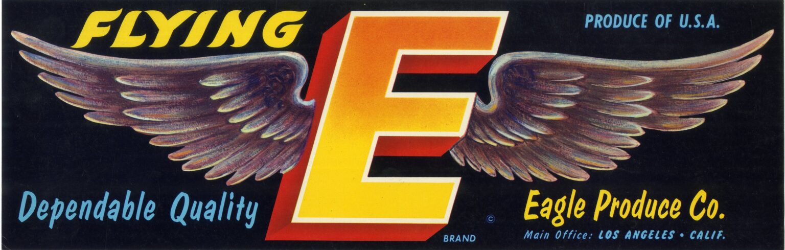 Flying E Flying E